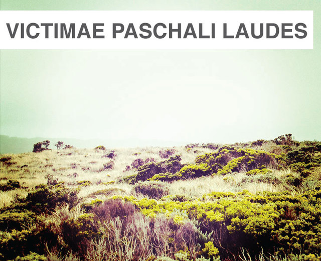 Victimae Paschali Laudes | Victimae Paschali Laudes| MusicSpoke