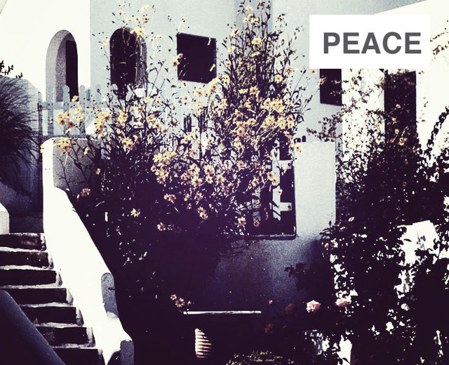 Peace | Peace| MusicSpoke