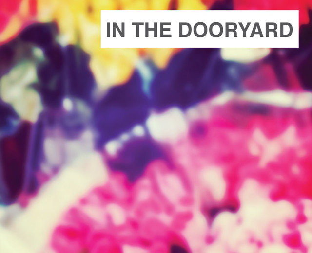 In the Dooryard | In the Dooryard| MusicSpoke