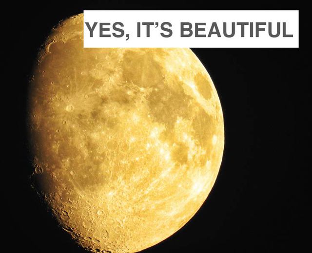 Yes, It's Beautiful | Yes, It's Beautiful| MusicSpoke