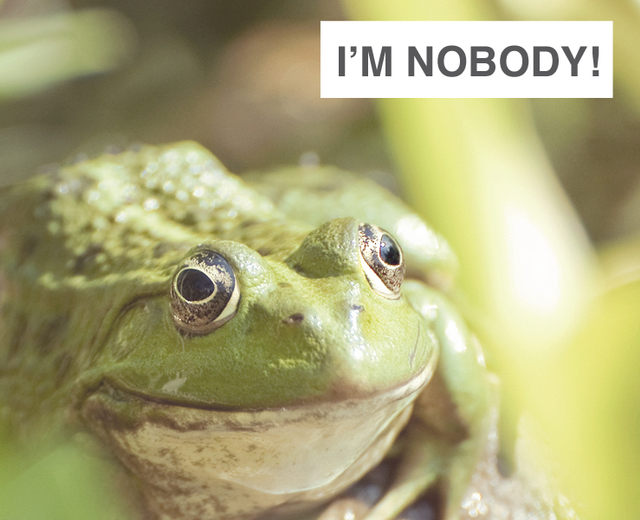 I'm Nobody! Who are you? | I'm Nobody! Who are you?| MusicSpoke