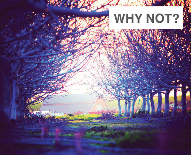 Why Not? | Why Not?| MusicSpoke