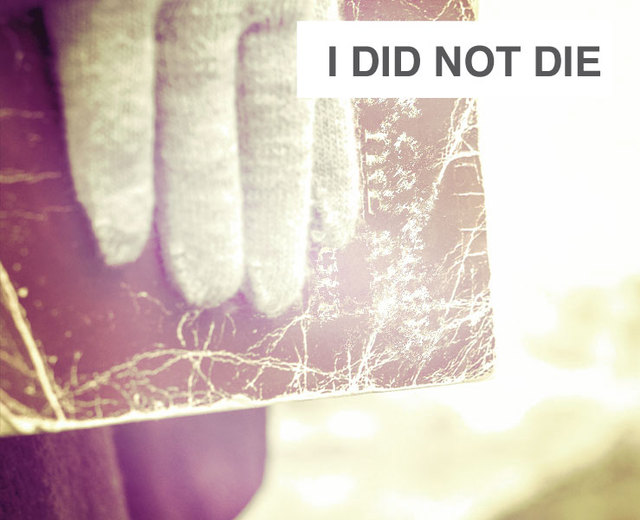 I Did Not Die | I Did Not Die| MusicSpoke