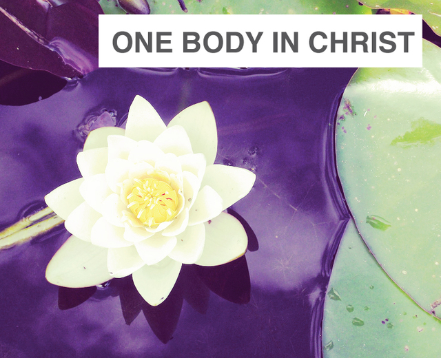 One Body in Christ | One Body in Christ| MusicSpoke