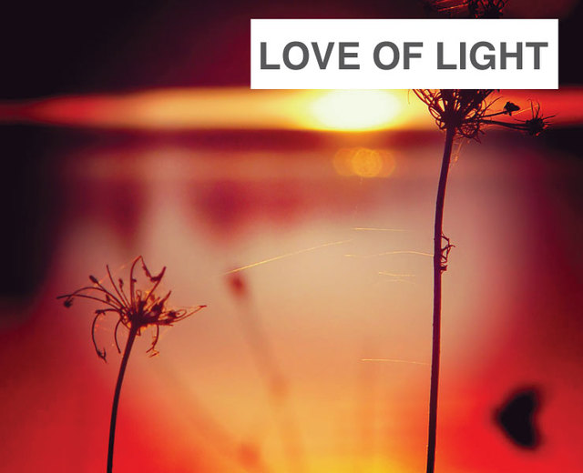 Love of Light | Love of Light| MusicSpoke